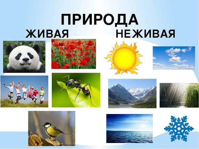 Объекты неживой природы: примеры | Зеленый татарстан